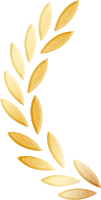1749451195467855.png 2.png